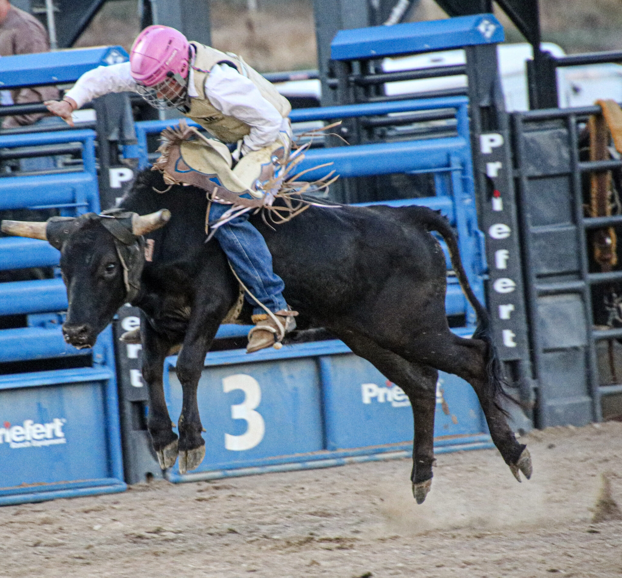 Nunn stays unbeaten as bull riding purse climbs to $4,000 | The Herald ...